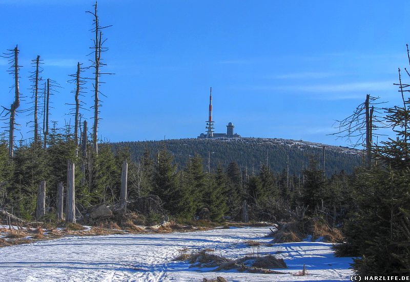 Winter im Harz - Blick zum Brockenblick - Goetheweg am Quitschenberg