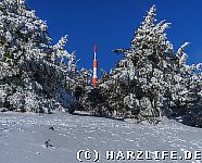 Brocken Winterwald