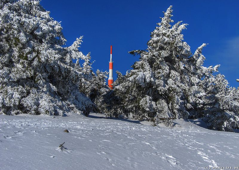 Oberharzer Winterwald unterhalb des Brockengipfels