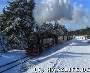 Brockenbahn am Goetheweg