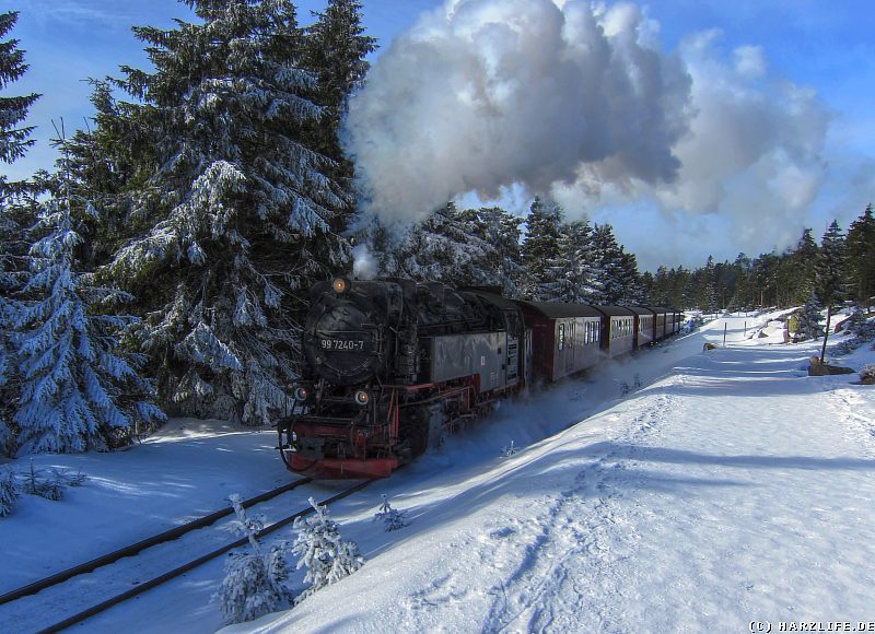 Die Brockenbahn am Goetheweg