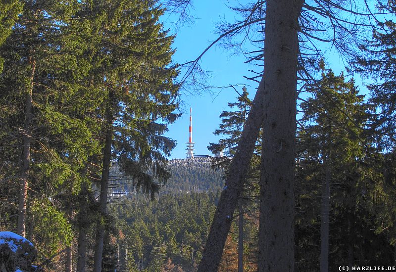 Brockenblick vom Goetheweg