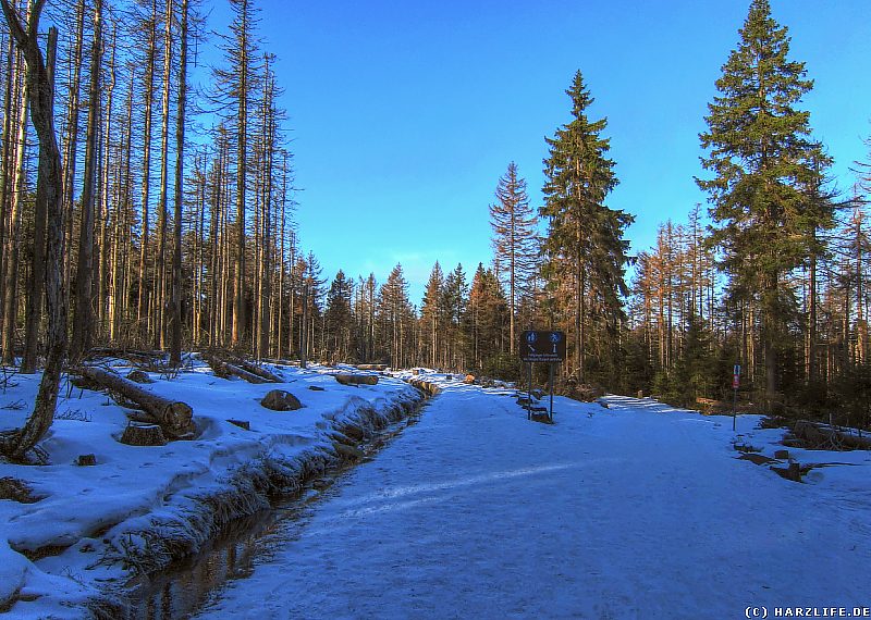 Winter im Harz - Goetheweg mit Abbegraben und Loipe