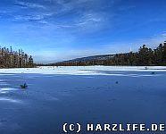 Das Grosse Torfhausmoor im Winter