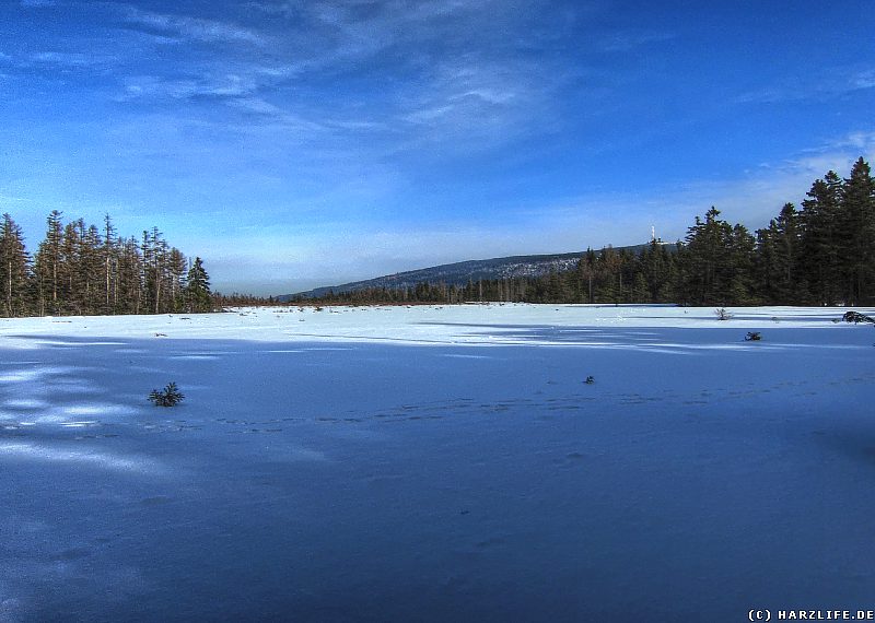 Am Goetheweg - Das Große Torfhausmoor im Winter