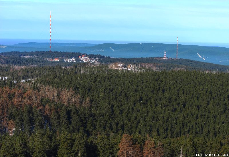 Am Goetheweg - Blick auf Torfhaus