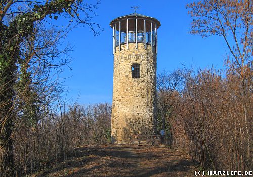 Der Austbergturm auf dem Austberg