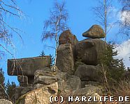 Blick zur Mausefalle
