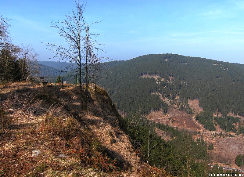 Blick auf die Ahrendsberger Klippen und das Okertal