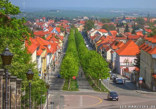 Blick auf Ballenstedt