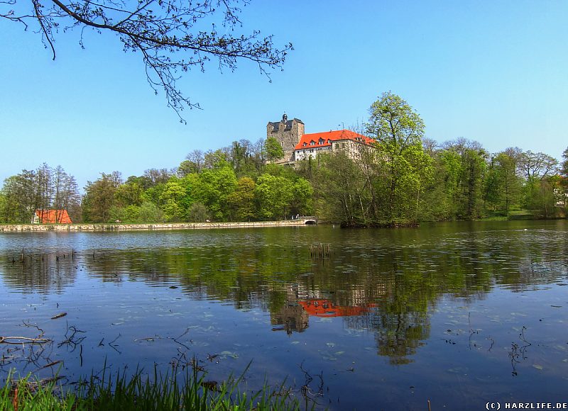 Schloßteich Ballenstedt