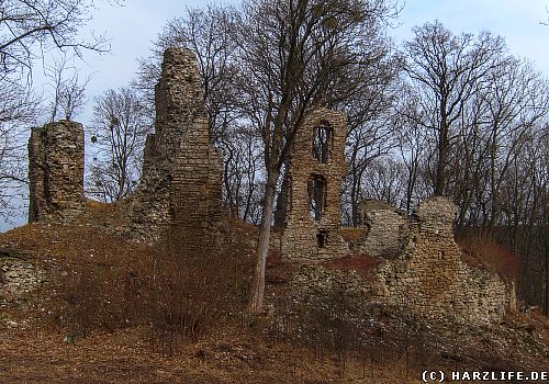 Die Burgruine Stecklenburg