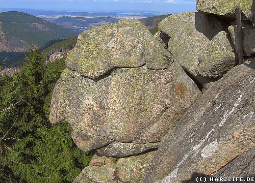 Der Alte vom Berge