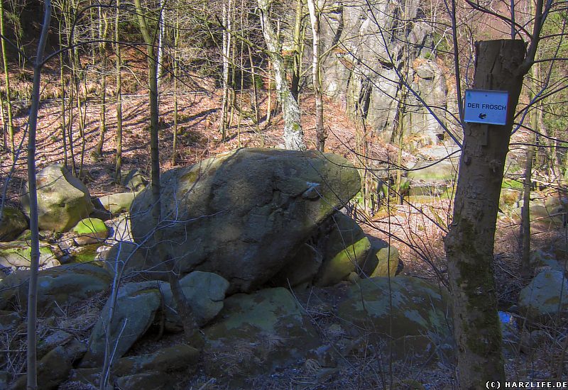 Der Frosch - ein eigentümlicher Granitblock