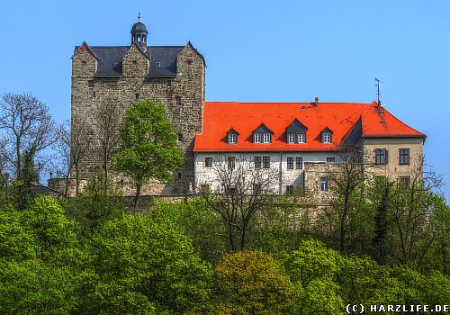 Das Schloß in Ballenstedt