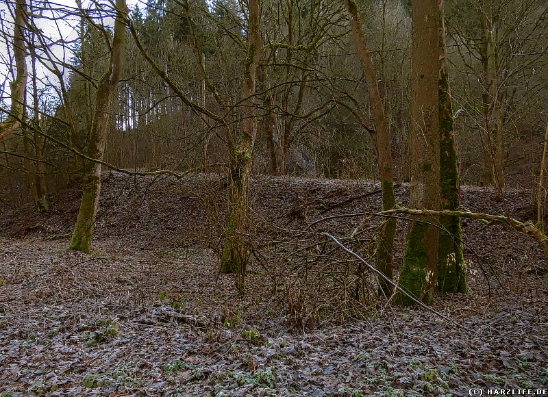 Alter Bahndamm der Zahnstangenbahn zwischen dem Blauen See und der Siedlung Kreuztal