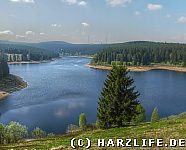 Blick über den Eckerstausee in Richtung Torfhaus