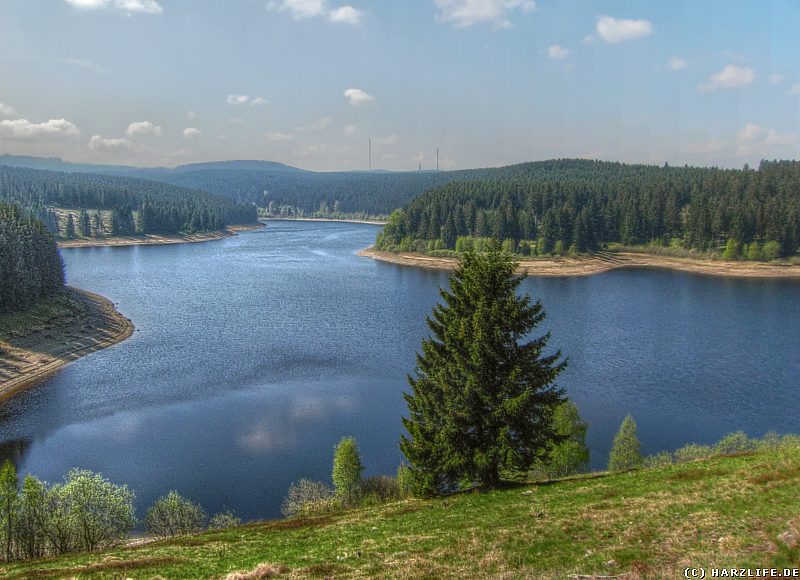 Blick über den Eckerstausee