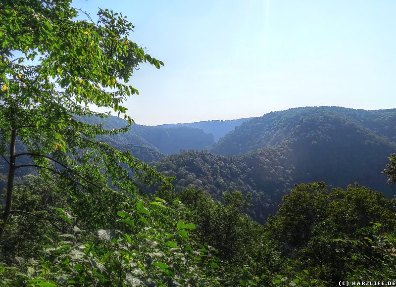 Aussicht vom Herzogsblick auf das Bodetal