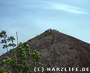 Aussicht auf die Halde