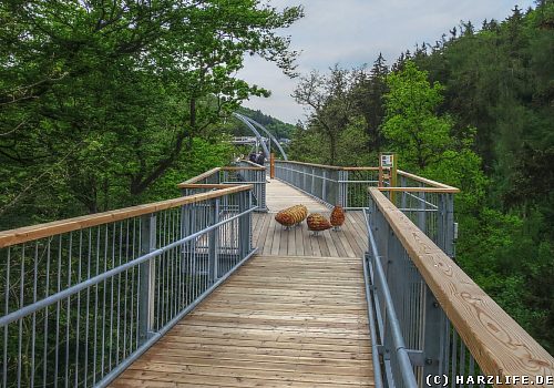 Baumwipfelpfad in Bad Harzburg