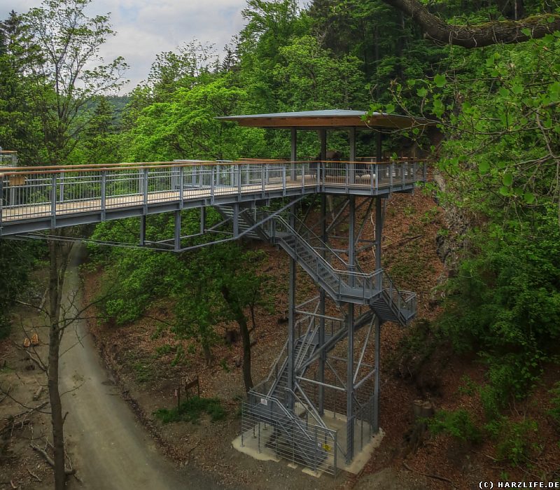 Die Geologiestation des Baumwipfelpfades