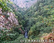 Blick ins Bodetal zum Bodekessel