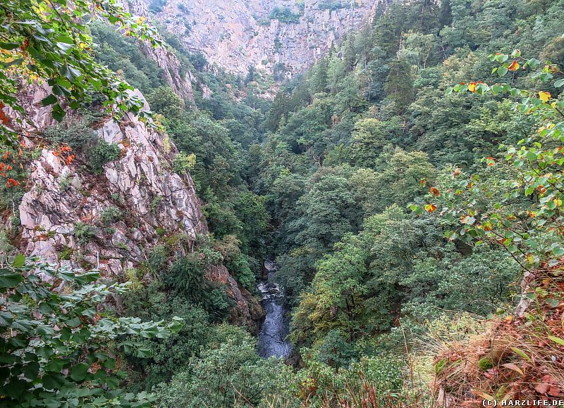 Blick ins Bodetal zum Bodekessel