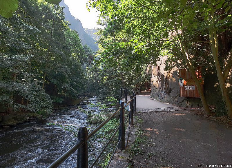 Im Bodetal - Bode und Wanderweg bei Thale