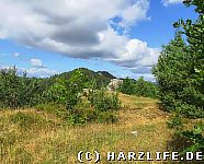 Bilder von der Kuxburg bei Timmenrode am Harz