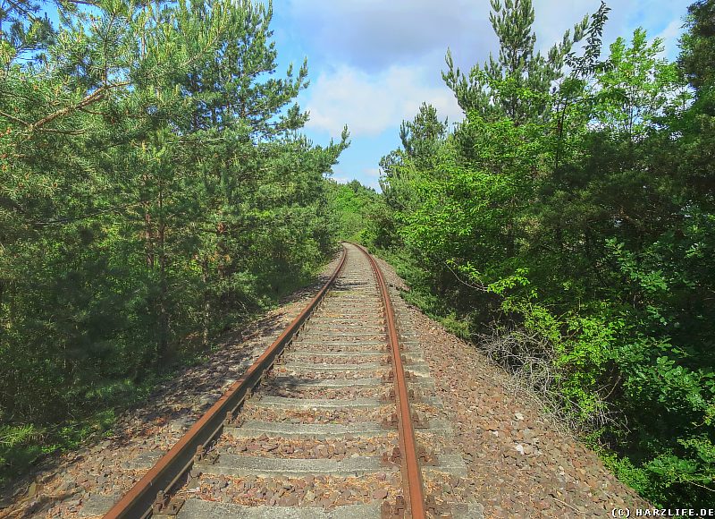 Der Eisenbahndamm unterhalb der Kuxburg