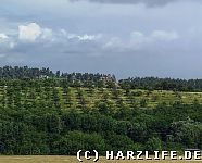 Blick vom Harzrand zum Hamburger Wappen