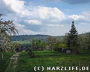 Landschaft bei Timmenrode