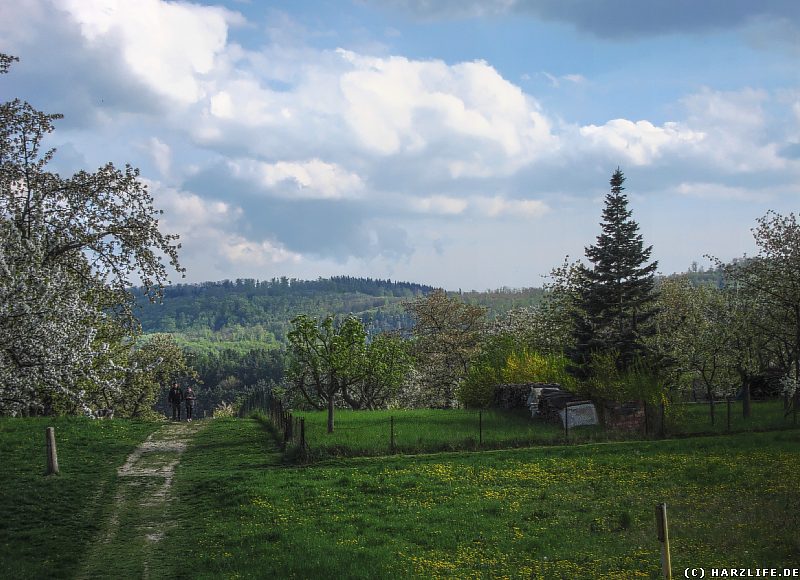 Landschaft bei Timmenrode