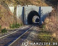 Blick durch den Nebelholztunnel