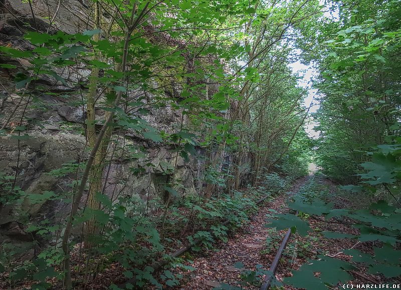 Das Gleis der Quäke unterhalb der Kuxburg