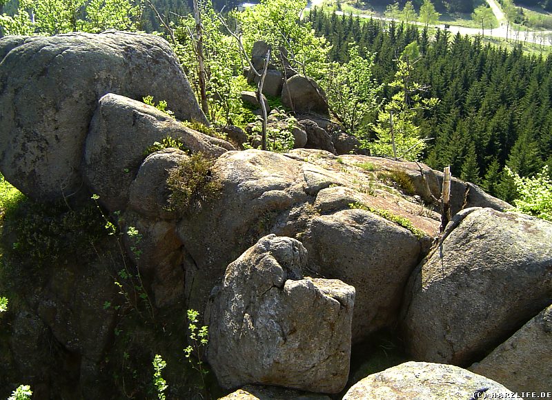 Auf der Scharfenstein-Klippe