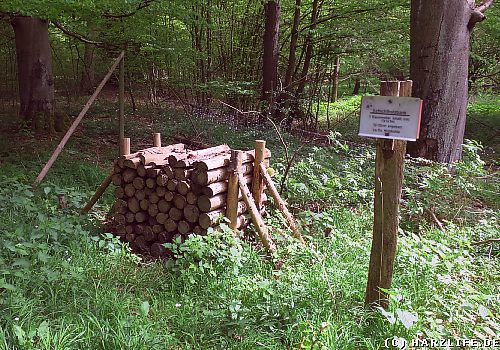 Am Köhlerweg / Köhlerpfad