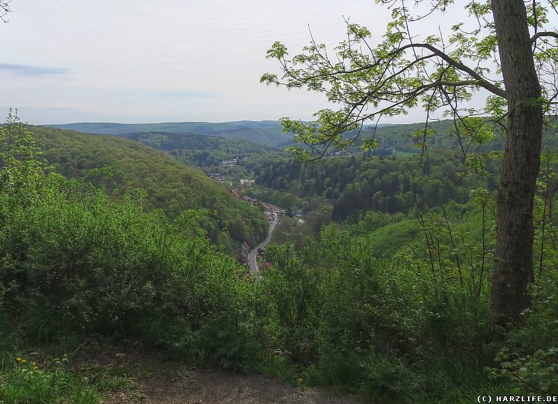 Aussicht von der Schöneburg auf Altenbrak