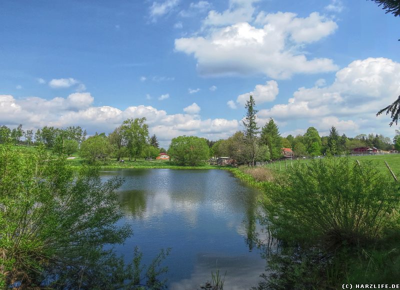 Blick über den Dorfteich auf Sophienhof