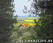 Blick zur Friedhofskapelle