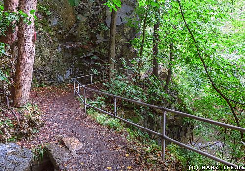 Eine Wanderung durch das untere Bodetal