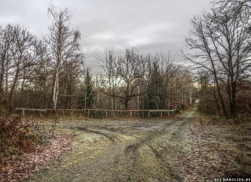 Weggabelung am Herzogsweg oberhalb des Bielsteintunnels