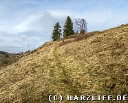 Naturschutzgebiet Bockberg