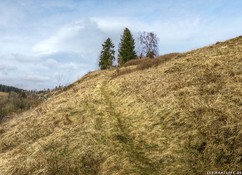 Der Aufstieg zur Bockbergklippe