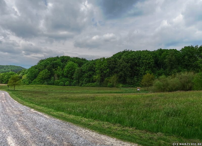 Blick zum Beierstein