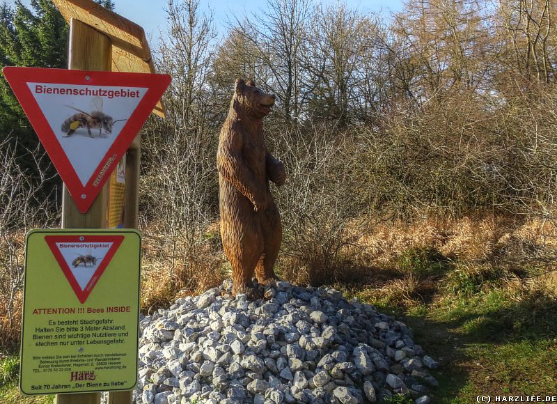 Ein ''Honigbär'' im Bienenschutzgebiet