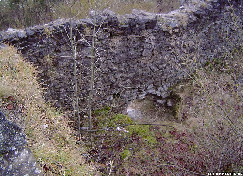 Burgruine Birkenfeld - Turmstumpf vor der Restaurierung