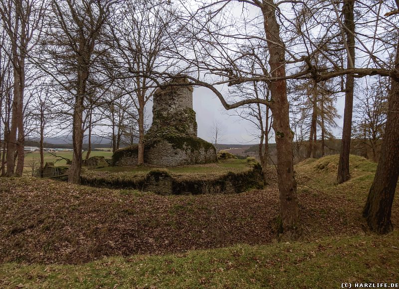 Gesamtansicht der Burganlage mit Wall-Graben-System