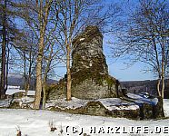 Blick auf die Burgruine Königsburg